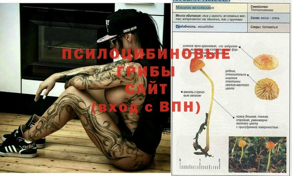 меф VHQ Горно-Алтайск