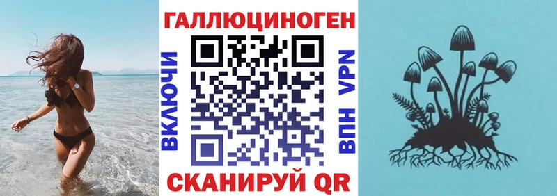Псилоцибиновые грибы Cubensis  KRAKEN зеркало  Щучье 